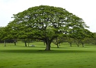 Punchbowl Cemetery